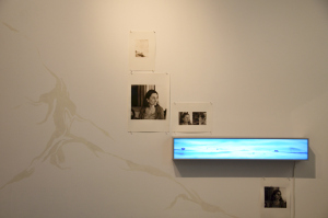 GALLERY 2:  GROUP SHOW ‘Once Removed’ curated by Michael Brennan Nov 9 – Nov 26 2011