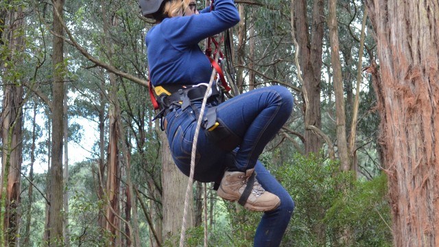 BILLBOARD: 8th July- 9th September 2014: SOPHIA DACY-COLE: 90 Kilometres North-East